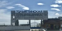 «Тольяттинской птицефабрикой» займутся владивостокцы