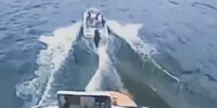 Опубликовано видео столкновения «Валдая» и маломерного судна