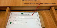 Фальсификации на выборах в Отрадном подстроили КОИБы