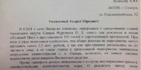 Фёдоров сомневается, что Фурсов гулял по случаю Дня Конституции