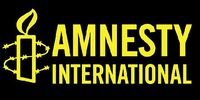 Amnesty International считает налоговое преследование Кузьминой политическим