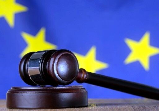 Европейский суд по правам человека коммуницировал жалобы Людмилы Кузьминой и «Парка Гагарина»