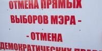 «Яблоко» хочет спросить жителей области о прямых выборах мэров и муниципальных депутатов