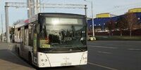 «Волгатрансавто» отказалось от банкротства муниципального перевозчика