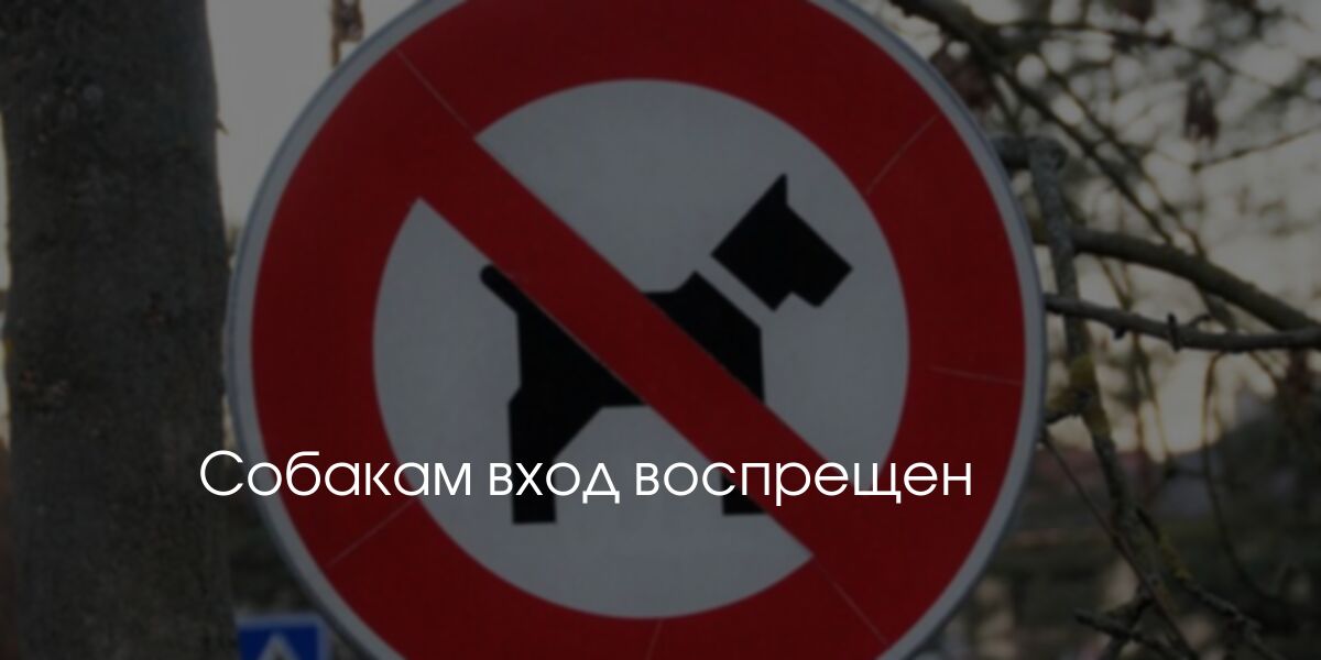 Собакам вход воспрещен | Засекин
