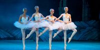Обмен специалистами по балету