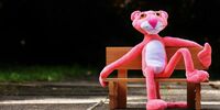 На ведомство Чудаева напала «Розовая пантера» 