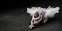 «Крепостной балет» не понравился министру
