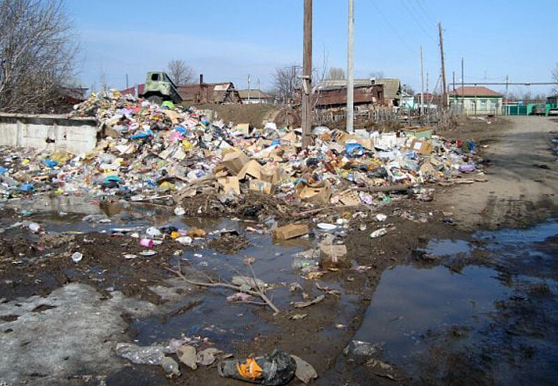 Будет ли «мусорный» завод в «Самарской луке»