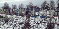 В Тольятти хотят почистить кладбища