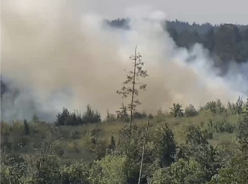 В Тольятти опять горят леса