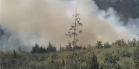 В Тольятти опять горят леса