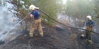 Из-за крупного лесного пожара в Самарской области возбудили уголовное дело
