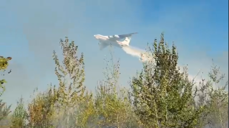 В Тольятти вновь загорелся лес