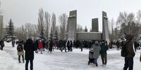 Два тольяттинца получили условные сроки за снежки в полицейских