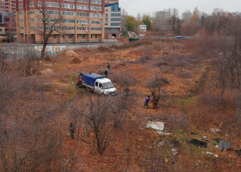 Самарские чиновники заявили, что деревья в районе 3-й просеки вырубают законно