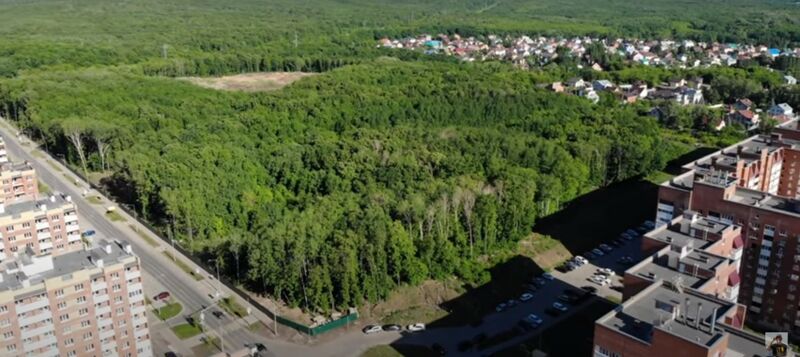 Лес рядом с «Новой Самарой» в процессе уничтожения