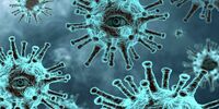 В Самарской области обнаружили новый штамм коронавируса «омикрон»