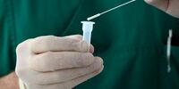 Экспресс-тестирование для выявления коронавируса приостановлено