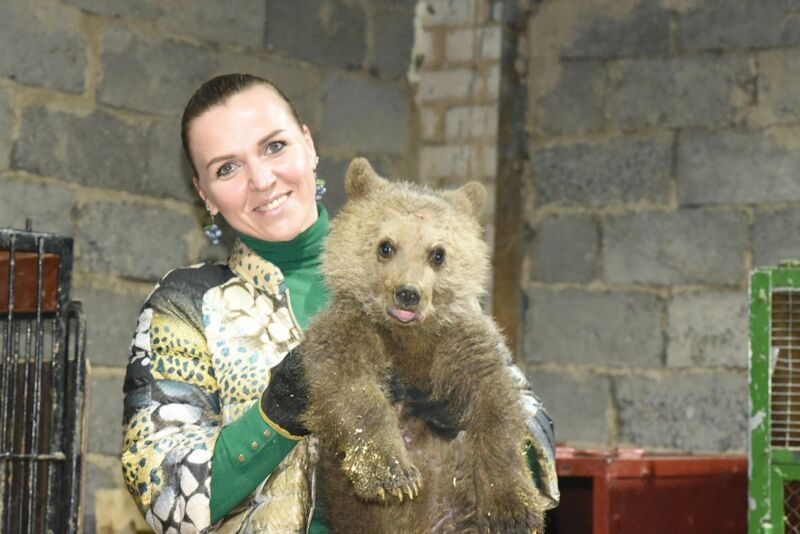 Самарские таможенники предотвратили попытку контрабанды четырех бурых медвежат