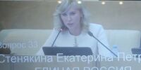 «Единая Россия» заблокировала закон о продовольственной помощи живущим за чертой бедности