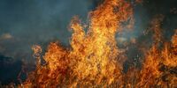 В сельском поселении Арзамасцевка выявлены риски распространения пожара