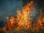 В сельском поселении Арзамасцевка выявлены риски распространения пожара