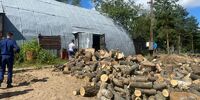 На острове Рождественский незаконно уничтожили деревья