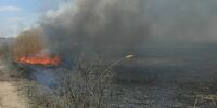 В Самарской области растёт число природных пожаров