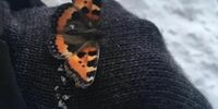 В Новокуйбышевске замерзает «Бабочка»