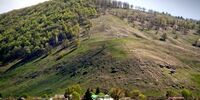 Неизвестный вырубил лес​ в «Самарской Луке»
