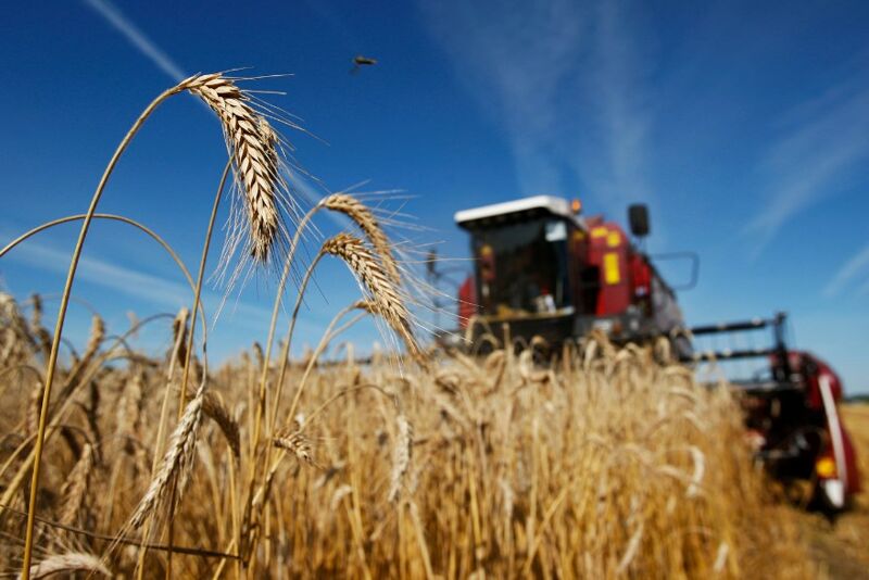 В Самарской области выявлены нарушения при предоставлении субсидий на сельское хозяйство