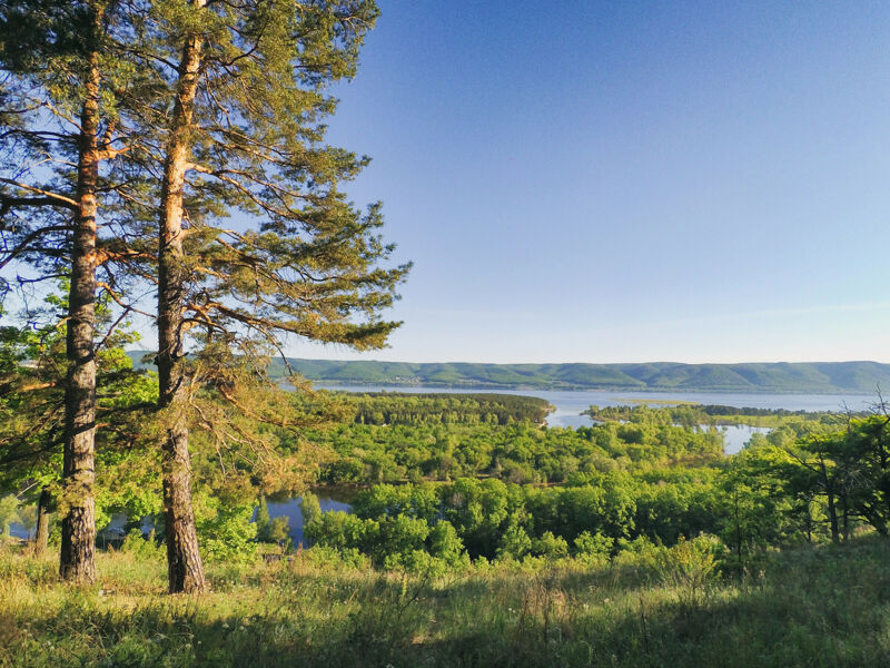 В Тольятти обсудят концепцию природного парка «Мастрюки»
