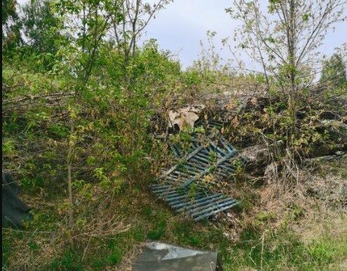 Убрать несанкционированные свалки в Исаклинском районе удаётся только через суд