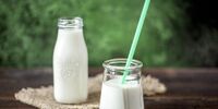 В Самарской области выявили около тонны некачественной молочной продукции