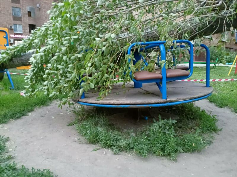 В Самаре возбудили уголовное дело из-за падения дерева на ребёнка