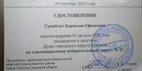 Борислава Гринблата допустили до предвыборной гонки