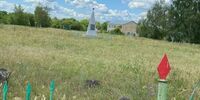 Бастрыкин заинтересовался состоянием памятника в селе Верхняя Орлянка