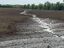 В Самарской области на поле обнаружили разлив нефти