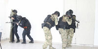 В учебных заведениях Самарской области проведут антитеррористические учения