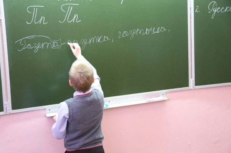 В Самаре нашли виновного в отсутствии уроков русского и литературы в школе № 22