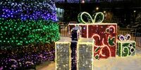 Поступила жалоба на закупку новогодних украшений в Тольятти