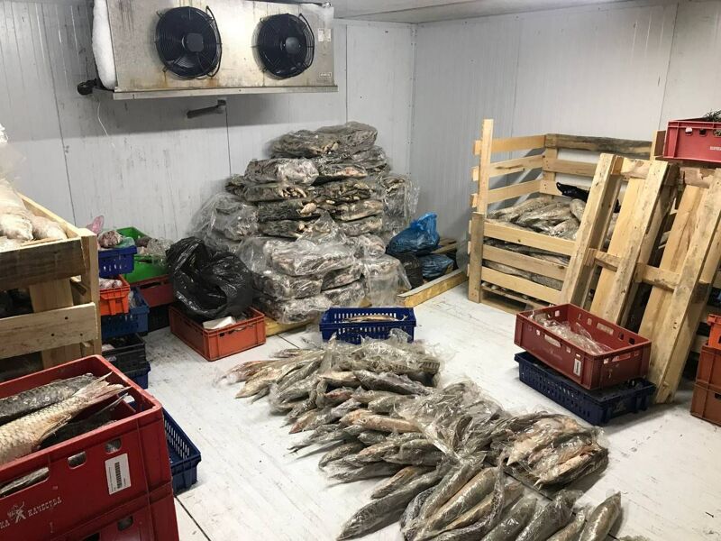 Арестован покровитель рыбаков-браконьеров
