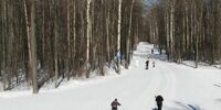 Азаров пообещал оставить бесплатным вход на лыжную трассу «Чайки»