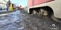 В Самаре трамвай застрял в грязи
