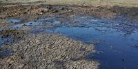 В Самарской области нефтепродукты загрязнили сельхозземли