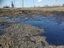 В Самарской области нефтепродукты загрязнили сельхозземли