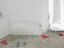 В Самарской области дом самарского блогера закидали краской кровавого цвета