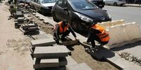 Улицу Куйбышева в Самаре лишили 36 деревьев