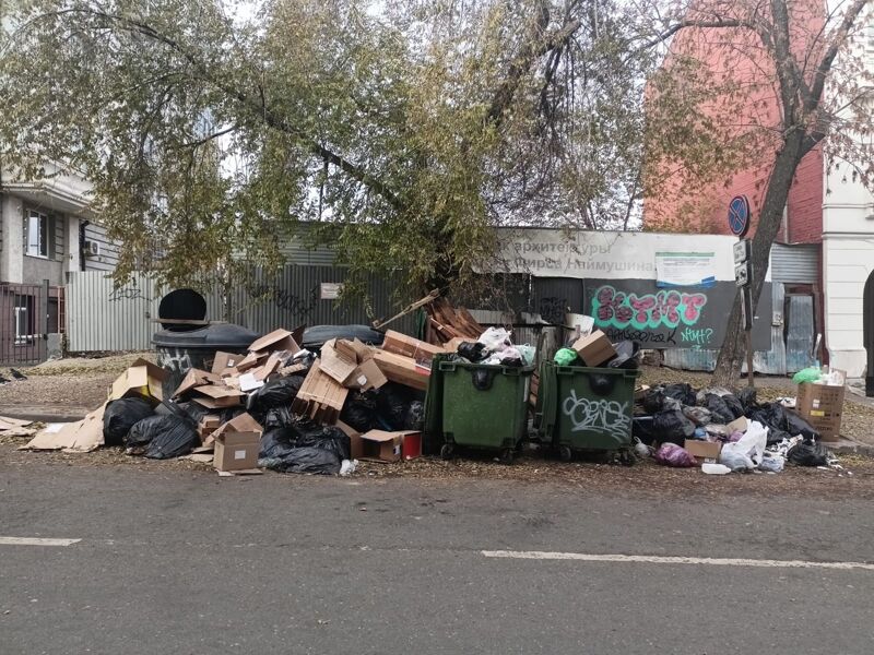 Новый мусорный регоператор пока не справляется с вывозом отходов в Самарской области